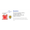 9 Frequency Tecar Machine with Monopolar & Bipolar RF Handles and Thermal Heating Belt for Pain Relief & Rehabilitation