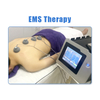 3 in 1 Electromagnetic Shockwave Physiotherapy Tecar And EMS Shock Wave Device Relieve Muscle Pain 